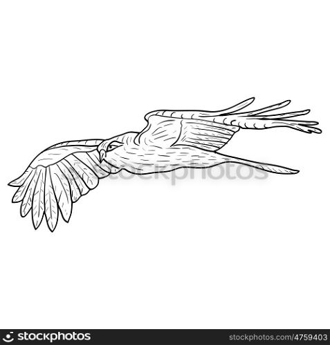 Sketch beautiful eagle on a white background. Vector illustration.. Sketch beautiful eagle on a white background. Vector illustration