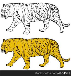 Sketch beautiful tiger on a white background. Vector illustration. Sketch beautiful tiger on a white background. Vector illustration.