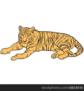Sketch beautiful tiger on a white background. Vector illustration. Sketch beautiful tiger on a white background. Vector illustration.