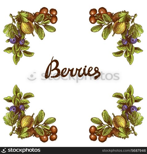 Sketch berries colored frame with blueberry cranberry and gooseberry branches vector illustration
