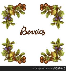 Sketch berries colored frame with blueberry cranberry and gooseberry branches vector illustration