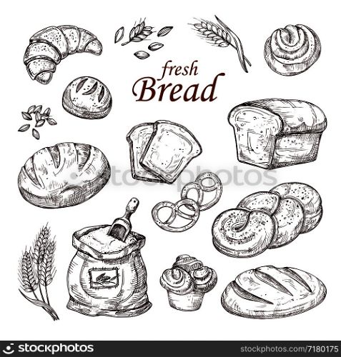 Sketch bread, hand drawn bakery products vector set isolated on white background. Sketch loaf bakery drawing, bun fresh illustration. Sketch bread, hand drawn bakery products vector set isolated on white background