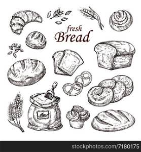 Sketch bread, hand drawn bakery products vector set isolated on white background. Sketch loaf bakery drawing, bun fresh illustration. Sketch bread, hand drawn bakery products vector set isolated on white background