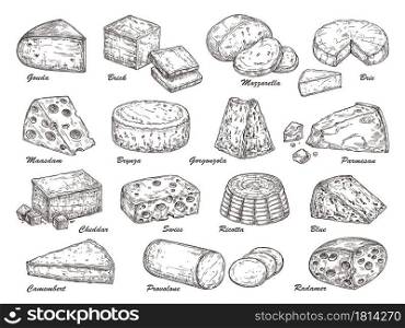 Sketch cheese. Hand drawn product, holland tasty dairy cuisine food. Isolated parmesan piece, cheddar gouda exact slice vector collection. Illustration product fresh piece, swiss drawing cheese. Sketch cheese. Hand drawn product, holland tasty dairy cuisine food. Isolated parmesan piece, cheddar gouda exact slice vector collection