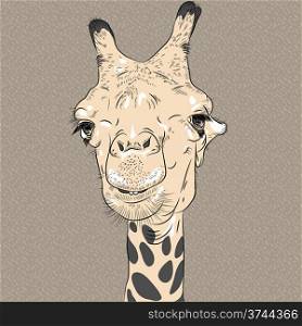 sketch closeup portrait of funny Giraffe