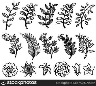 Sketch hand drawn branch and leaves vector decorative floral nature element. Branch sketch black and floral flower illustration. Sketch hand drawn branch and leaves vector decorative floral nature elements