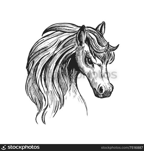 Sketch illustration of beautiful young horse head with thick wavy mane and gentle glance. Great for wildlife symbol or t-shirt print design usage. Head of a horse with wavy mane sketch symbol