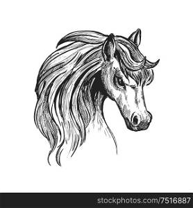 Sketch illustration of beautiful young horse head with thick wavy mane and gentle glance. Great for wildlife symbol or t-shirt print design usage. Head of a horse with wavy mane sketch symbol