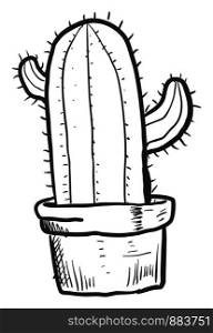 Sketch of a cactus in a pot, illustration, vector on white background.