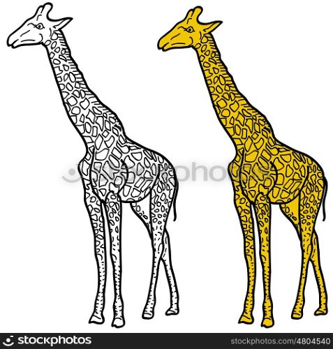 Sketch of a high African giraffe on a white background. Vector illustration. Sketch of a high African giraffe on a white background. Vector illustration.