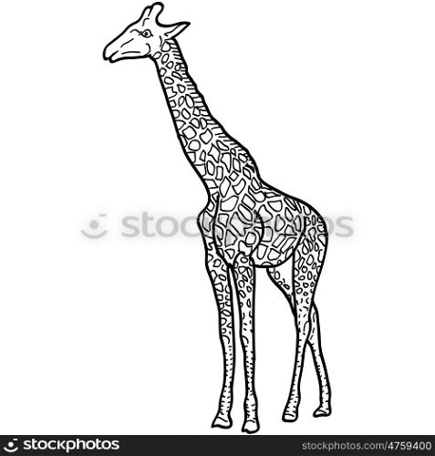 Sketch of a high African giraffe on white background. Vector illustration. Sketch of a high African giraffe on a white background. Vector illustration.
