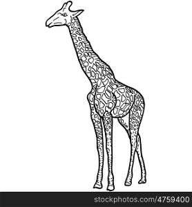 Sketch of a high African giraffe on white background. Vector illustration. Sketch of a high African giraffe on a white background. Vector illustration.