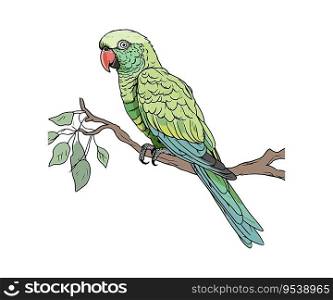 Sketch of a parrot on a branch in color. Vector illustration design.