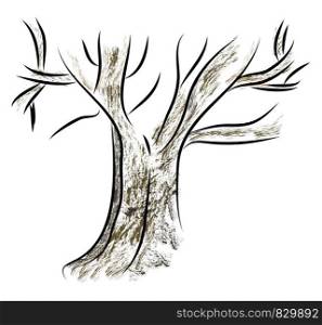 Sketch of a tree vector or color illustration