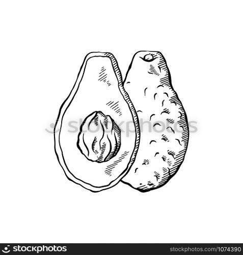Sketch of avocados with hatching. Various elements of avocado slices with pits. Keto diet. Ingredients for Guacamole. Vector engraving element for menus, articles, cards and your design.. Sketch of avocados with hatching. Various elements of avocado slices with pits. Keto diet. Ingredients for Guacamole. Vector engraving element