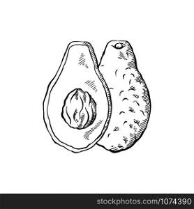 Sketch of avocados with hatching. Various elements of avocado slices with pits. Keto diet. Ingredients for Guacamole. Vector engraving element for menus, articles, cards and your design.. Sketch of avocados with hatching. Various elements of avocado slices with pits. Keto diet. Ingredients for Guacamole. Vector engraving element