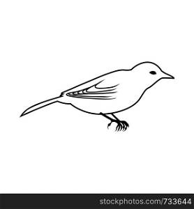 Sketch of Bird. Outline Design. Vector Illustration.