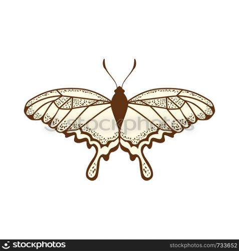 Sketch of Butterfly. Brown Line Color Design. Vector Illustration.