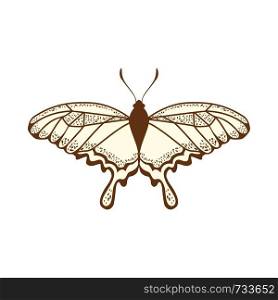 Sketch of Butterfly. Brown Line Color Design. Vector Illustration.