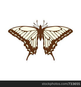 Sketch of Butterfly. Brown Line Color Design. Vector Illustration.