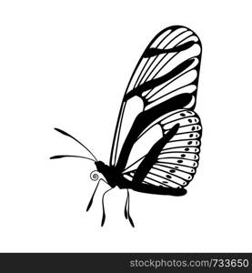 Sketch of Butterfly. Outline Design. Vector Illustration.