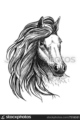 Sketch of horse head with glorious wavy mane and calm look, playful glance and elegant neck. Isolated on white. For equestrian sport design. Horse head sketch with wavy mane