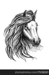 Sketch of horse head with glorious wavy mane and calm look, playful glance and elegant neck. Isolated on white. For equestrian sport design. Horse head sketch with wavy mane