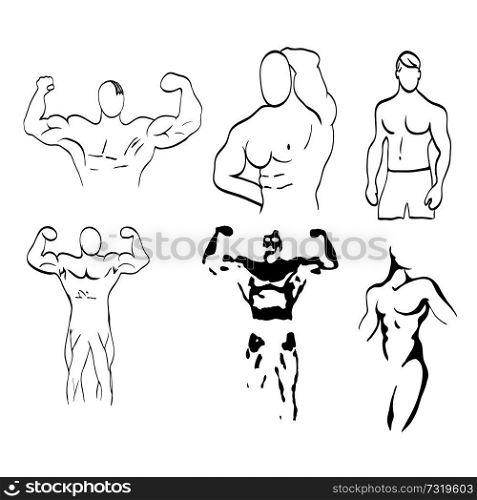 Sketch of man torso