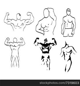 Sketch of man torso