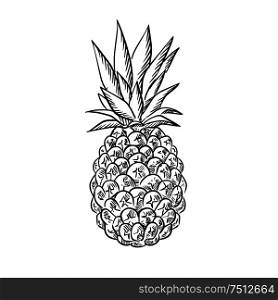 Sketch of ripe juicy tropical pineapple fruit with fresh leaves. Isolated on white. Pineapple fruit with fresh leaves in sketch style