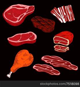 Sketch of sliced crude or raw meat products and ham or leg of pork, steak and sliced bacon, gamon or hind quarter. Concept of fat and high calorie food or nutrition.. Sketch of sliced meat products