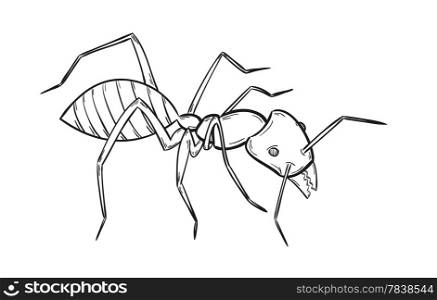 sketch of the ant. sketch of the ant on white background, isolated