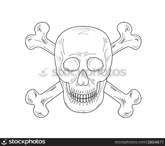 sketch of the skull and bones on white background, vector. sketch of the skull and bones