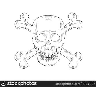 sketch of the skull and bones on white background, vector. sketch of the skull and bones