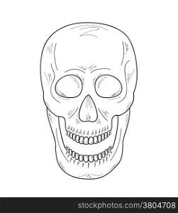 sketch of the skull with open mouth on white background, vector. sketch of the skull with open mouth