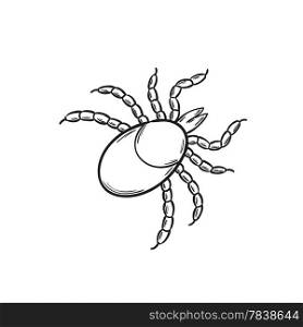 sketch of the tick. sketch of the dangerous tick on white background, isolated
