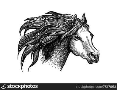 Sketch of vigorous and graceful running horse vintage engraving stylized icon of appaloosa mare with airy flowing mane. Use as horse breeding industry symbol or equestrian club design. Graceful running appaloosa horse vintage icon