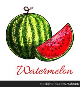 Sketch of watermelon fruit. Striped green watermelon with sweet juicy slice of red flesh. Healthy vegetarian dessert, summer treats, agriculture themes design. Watermelon fruit with juicy slice sketch
