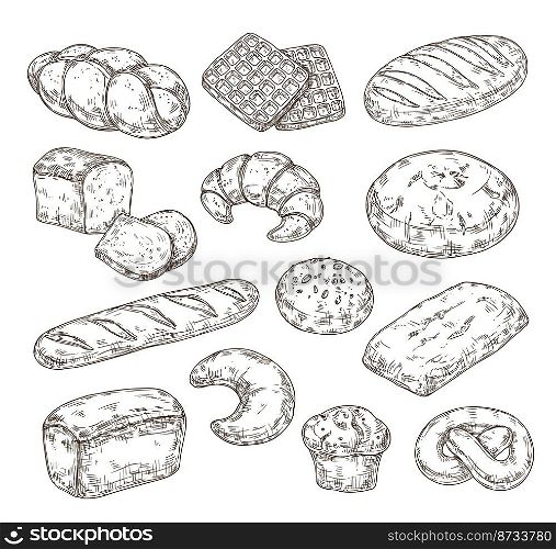 Sketch pastry. Breakfast caramel waffle and desserts. Vintage hand drawn bread and pastries, diverse confectionery. Fresh bakery food neoteric vector collection. Illustration of dessert bakery. Sketch pastry. Breakfast caramel waffle and desserts. Vintage hand drawn bread and pastries, diverse confectionery. Fresh bakery food neoteric vector collection