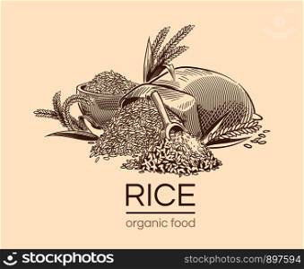 Sketch rice background. Agricultural plant, vintage hand drawn organic rice seeds and sack of grains. Diet engraving vector ear bowl cereal healthy draw for asian restaurant design. Sketch rice background. Agricultural plant, vintage hand drawn organic rice seeds and sack of grains. Diet engraving vector design