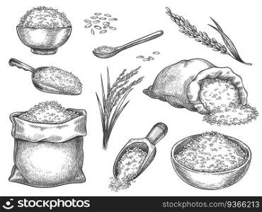 Sketch rice grains. Vintage seeds pile and farm ears. Whole basmati grain in bag, scoop and spoon. Rice porridge bowl. Hand drawn vector set. Illustration healthy ingredient, meal nutrition drawing. Sketch rice grains. Vintage seeds pile and farm ears. Whole basmati grain in bag, scoop and spoon. Rice porridge bowl. Hand drawn vector set