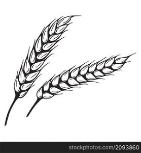 Sketch spikelet isolated vector illustration. A pair of seams of wheat vintage. Hand engraving grain agricultural culture