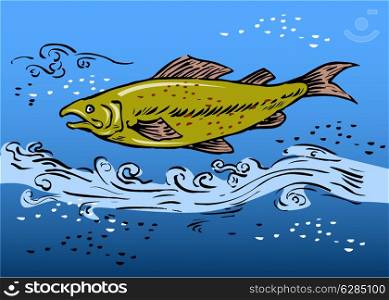 sketch style vector illustration of a speckled trout swiming underwater. speckled trout swimming underwater