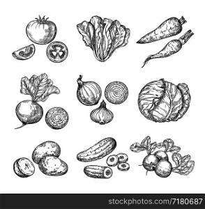 Sketch vegetables. Fresh tomato, cucumber and carrots, potatoes. Hand drawn onions, radish and cabbage. Garden vegetable vector set of tomato and potato, organic fresh food illustration. Sketch vegetables. Fresh tomato, cucumber and carrots, potatoes. Hand drawn onions, radish and cabbage. Garden vegetable vector set