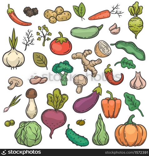 Sketch vegetables. Hand drawn color vegetable veggie product healthy diet cucumber, broccoli and cabbage, carrot, potato doodle vector set. Pumpkin and garlic, mushroom, onion and tomato. Sketch vegetables. Hand drawn color vegetable veggie product healthy diet cucumber, broccoli and cabbage, carrot, potato doodle vector set