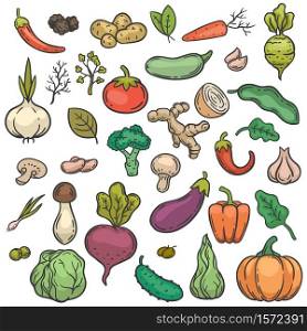 Sketch vegetables. Hand drawn color vegetable veggie product healthy diet cucumber, broccoli and cabbage, carrot, potato doodle vector set. Pumpkin and garlic, mushroom, onion and tomato. Sketch vegetables. Hand drawn color vegetable veggie product healthy diet cucumber, broccoli and cabbage, carrot, potato doodle vector set
