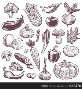 Sketch vegetables. Healthy foods natural vegetable, organic broccoli, tomato and potato, cabbage and carrot, vintage hand drawn vegan ingredient isolated vector set. Sketch vegetables. Healthy foods natural vegetable, organic broccoli, tomato and potato, cabbage and carrot, vintage hand drawn vector set