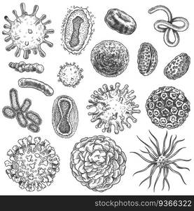 Sketch virus. Bacteria, coronavirus germ biology micro organic elements. Covid-19 viruses, cancer cells hand drawn engraving vector set. Illustration germ micro, covid-19 drawn sketch microbe. Sketch virus. Bacteria, coronavirus germ biology micro organic elements. Covid-19 viruses, cancer cells hand drawn engraving vector set