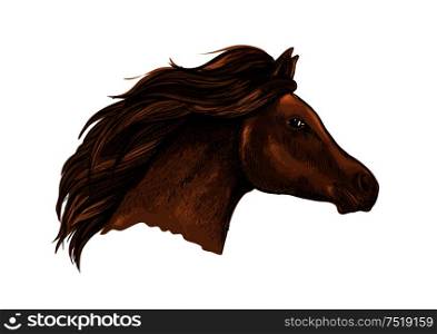 Sketched brown horse head icon of purebred racehorse with flying mane. Horse racing symbol or equestrian sporting theme design. Sketched brown horse for equestrian design