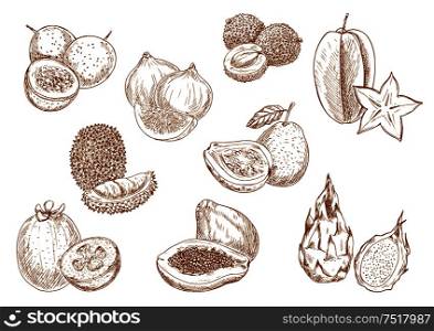 Sketched exotic lychee, carambola and durian, fragrant papaya, guava and passion fruit, sweet fig, feijoa and dragon fruits symbols. Kitchen accessories or interior design. Sweet and juicy exotic fruits sketch icons